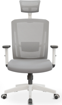 Silla ergonómica Delphi II — blanco gris