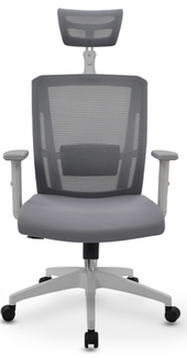Silla ergonómica Delphi II — gris